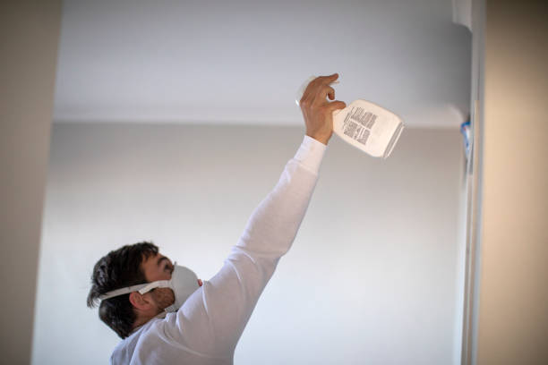 Best Office Mold Removal Services  in Mullens, WV